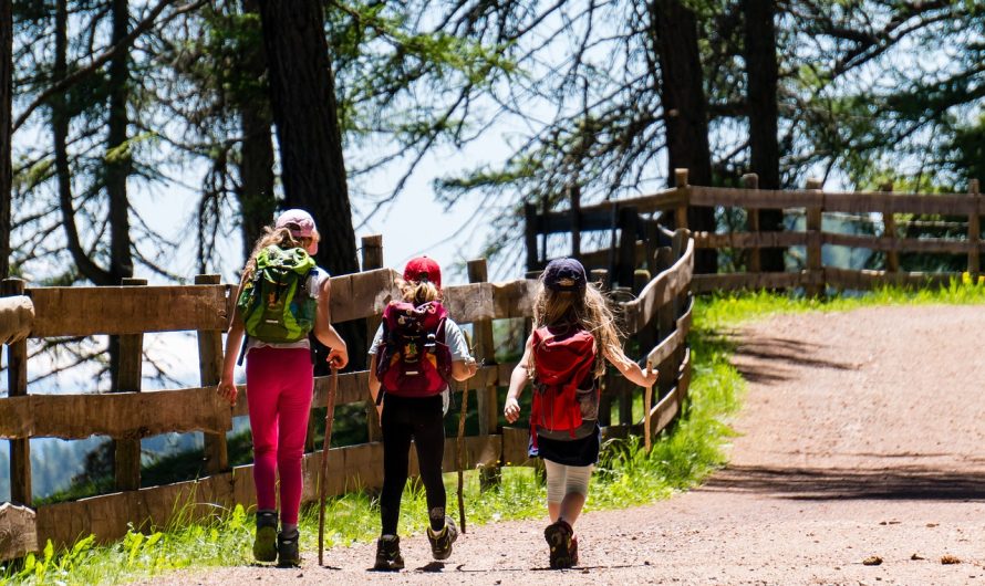 Randonnées et balades en nature : aventures estivales à ne pas manquer